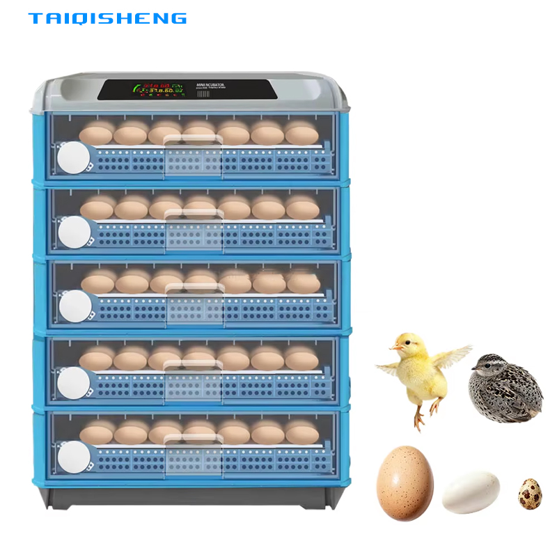 Automatic Intelligent 500 Egg  - Power Supply 12V 评论和价格