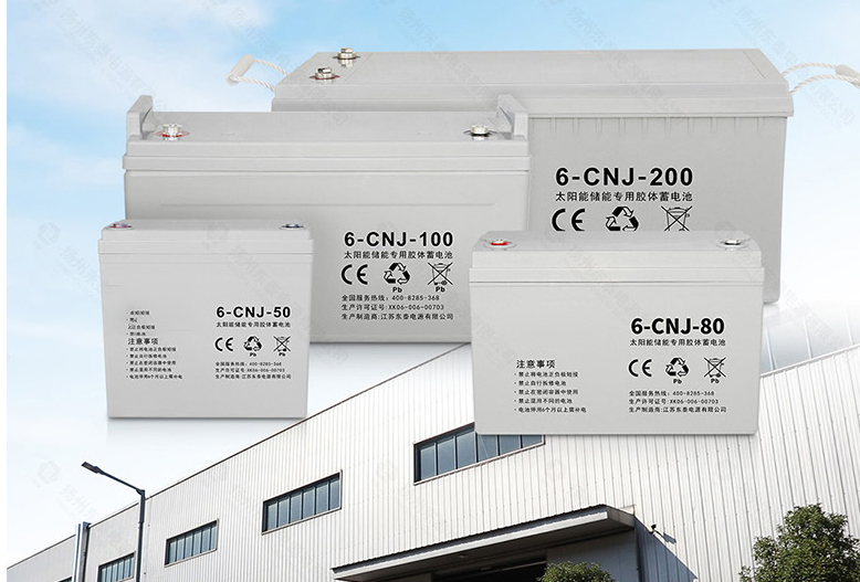 Automatic Intelligent 500 Egg  - Power Supply 12V 评论和价格